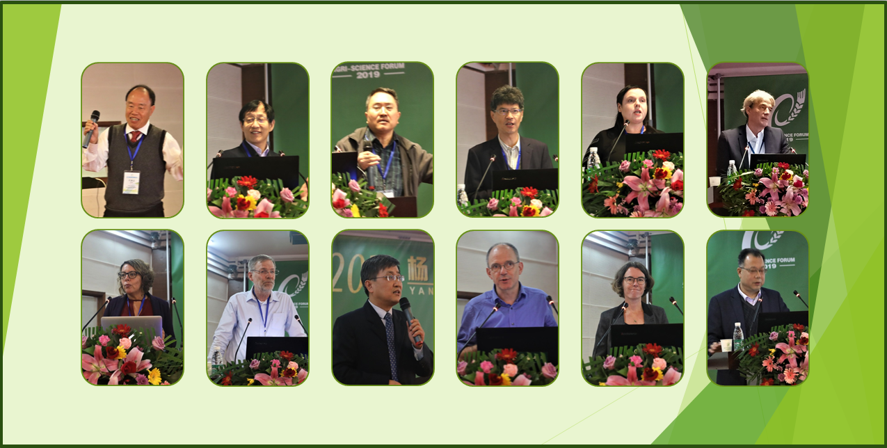 9730a18dda9e47d2986f0d70b4b3d098.png 9730a18dda9e47d2986f0d70b4b3d098.png