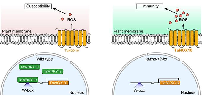 5a7a700c64fd49e6a32d20ff48fc4c89.jpg 图片-680.jpg