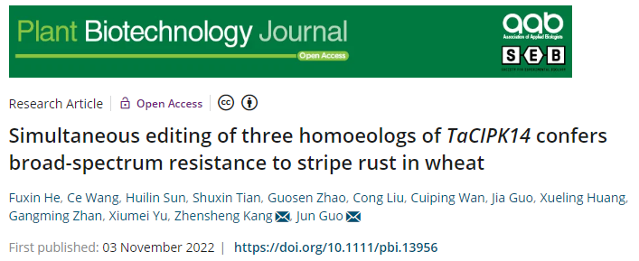 02139197414343ce868ffd5dc2786caa.png 论文标题樱花小说图片.png