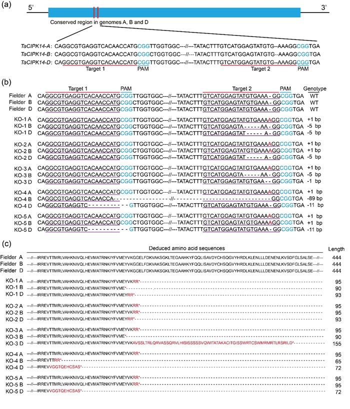 1f4ab0ddeaa840828b06a5bfcf512838.jpg 图片1-700.jpg