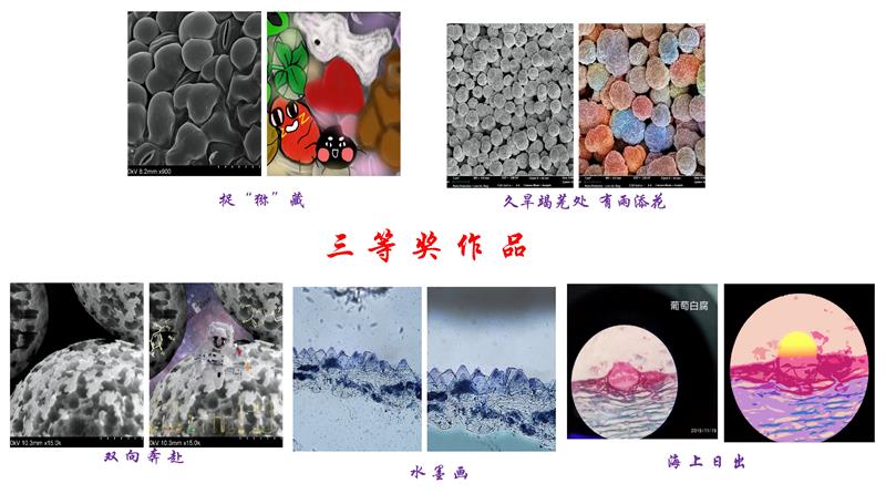 01191cf18fb9451aa2e668dd120b419e.jpg 三等奖800组合图.jpg